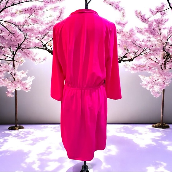 NSR V-neck Fuchsia Hot Pink Dress with Lace Slip Medium - Picture 6 of 17